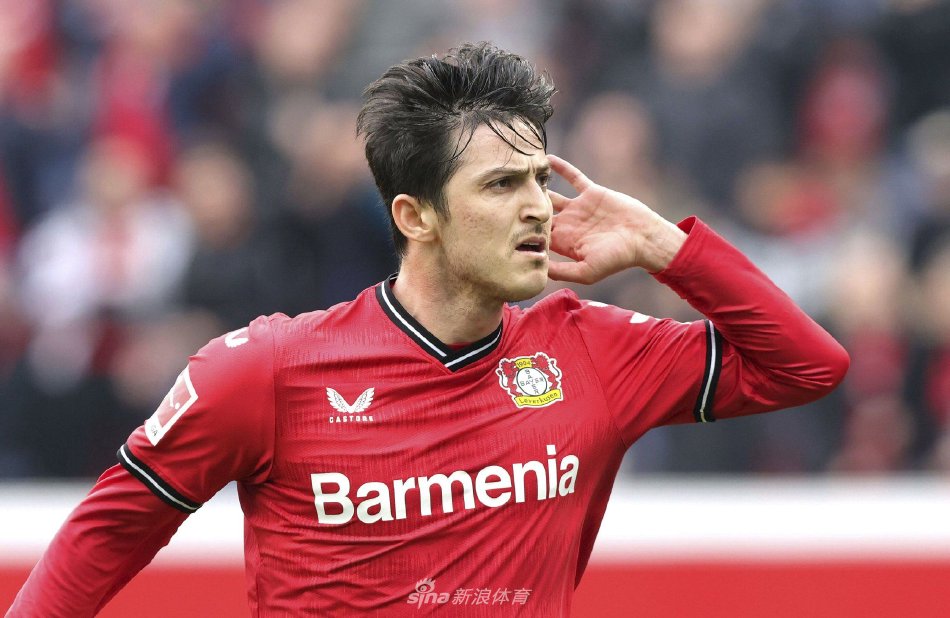 仅体现了个 仅体现了个